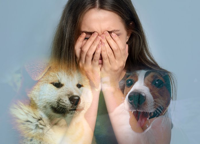 treatment for animal fear near me